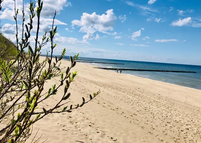 Apartament Pastelovy